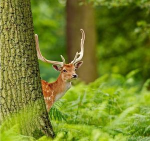 Image post by @rspb on Instagram