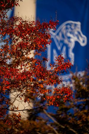 Video post by @uofmemphis on TikTok