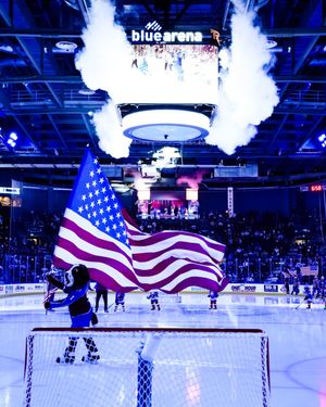Image post by @TheAHL on Twitter