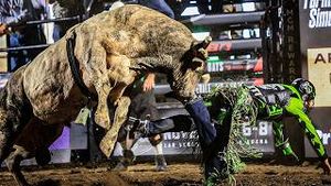 Video post by @pbr on YouTube