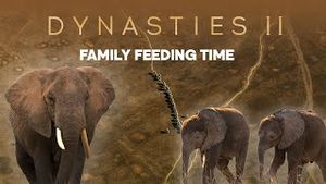 Video post by @bbcearth on YouTube