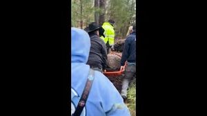 Video post by @wyffnews4 on YouTube