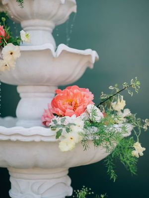 Image post by @magnoliahillfarm on Instagram