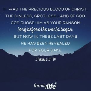 Image post by @familylifenypa on Instagram