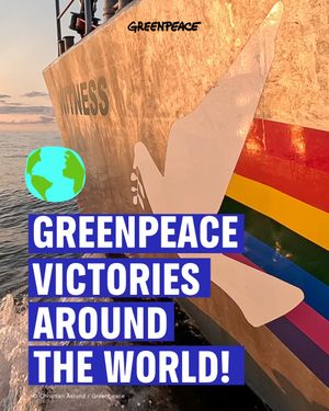 Image post by @greenpeace on Instagram