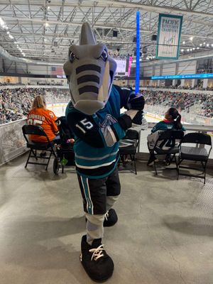Image post by @sjbarracuda on Twitter