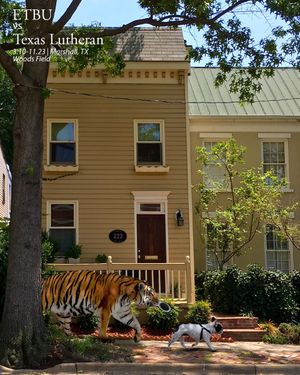 Image post by @ETBU_Baseball on Twitter