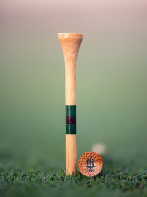 Image post by @evolvegolf on Instagram