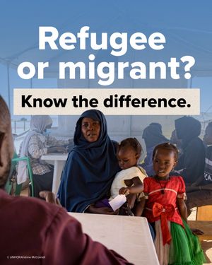 Image post by @unitednations on Instagram