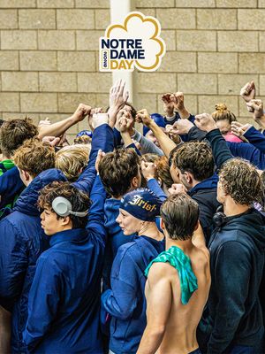 Image post by @ndswimdive on Instagram