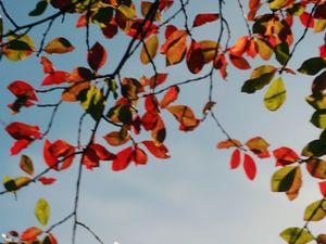 Image post by @bpbeattie on Instagram