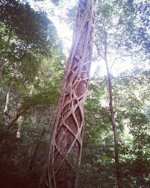 Image post by @kvandorn6 on Instagram