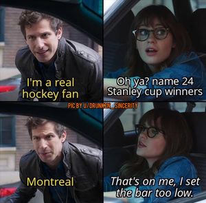 Image post by @hockeyfights on Instagram