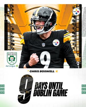 Image post by @steelersireland on Instagram