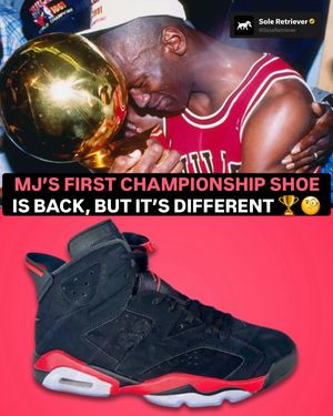 Image post by @soleretriever on Instagram
