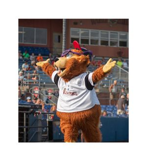 Image post by @bovadawg.visuals on Instagram