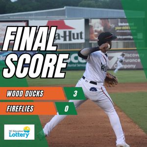 Image post by @gowoodducks on Instagram