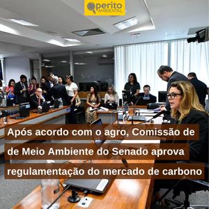 Image post by @operitoambiental on Instagram