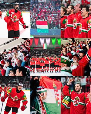 Image post by @iihfmen on Instagram
