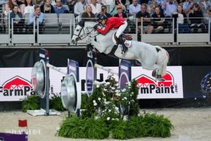 Image post by @theplaidhorsemag on Instagram