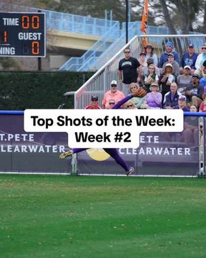 Video post by @ncaasoftball on TikTok