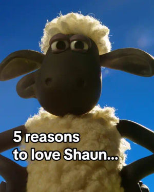 Image post by @shaunthesheepofficial on TikTok