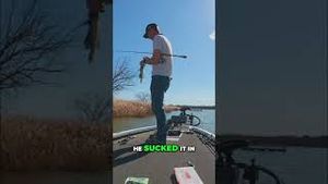 Video post by @lakeforkguy on YouTube