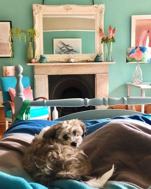 Image post by @annalysejacobs on Instagram
