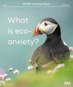 Image post by @rspb on Instagram