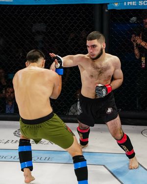 Image post by @upnextfighting on Instagram