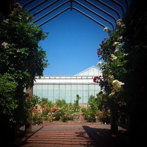 Image post by @kansasstateuniversity on Instagram
