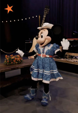 Video post by @disney on TikTok