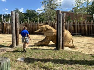 Image post by @bhamzoo on Instagram