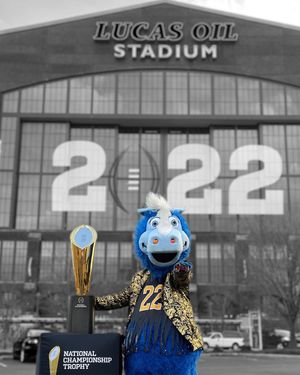 Image post by @bluecoltsmascot on Instagram