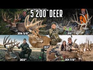 Video post by @BowmarBowhunting on YouTube