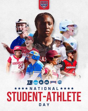 Image post by @usasoftball on Instagram