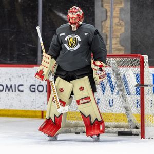 Image post by @goaliegearnerd on Instagram