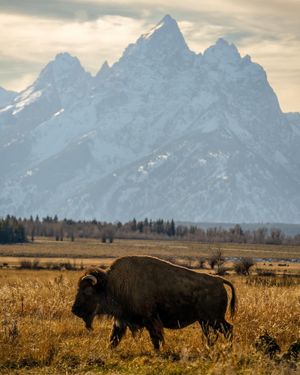 Image post by @nationalparkspartnership on Instagram