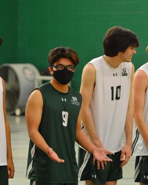 Image post by @laubhan.visuals on Instagram