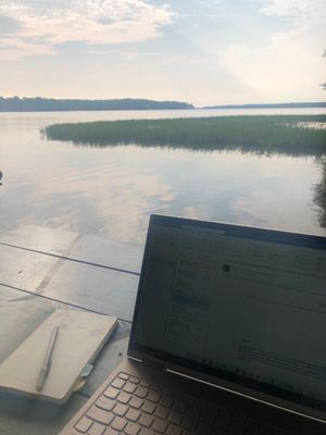 Image post by @jeffwilliams11 on Twitter