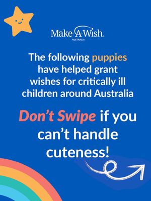 Image post by @makeawishaust on Instagram
