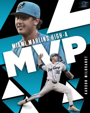 Image post by @beloitskycarp on Instagram