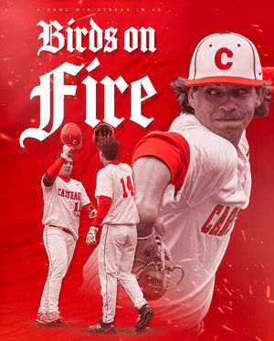 Image post by @carthage_baseball on Instagram