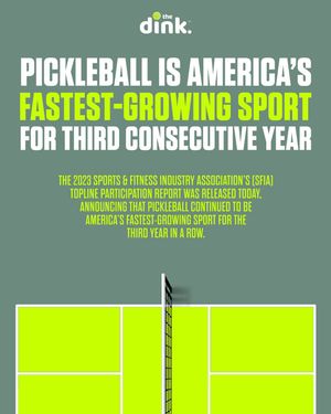 Image post by @thedinkpickleball on Instagram