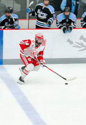 Video post by @placeofpuck on TikTok