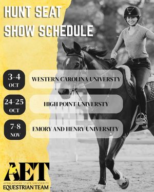 Image post by @appalachianequestrian on Instagram