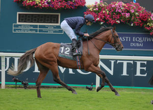 Image post by @juddmonte on Instagram