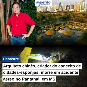 Image post by @operitoambiental on Instagram