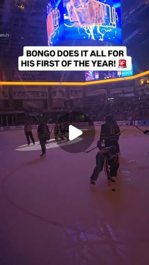 Image post by @sfstampede on Instagram