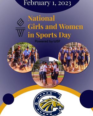 Image post by @casteelsoftballbc on Instagram